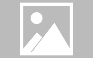 沧县龙岗制作公司网站（深圳龙岗有哪些公司工厂?）